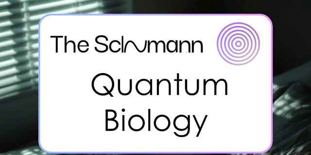 Do Cells Really Talk in Frequencies? What Quantum Biology Says About the Schumann Resonance