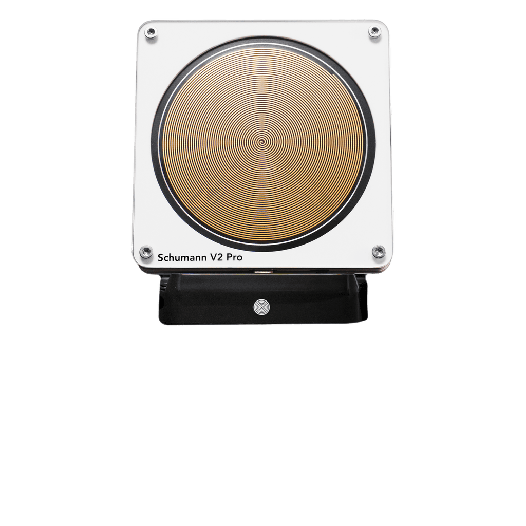 Charging Station - The Schumann