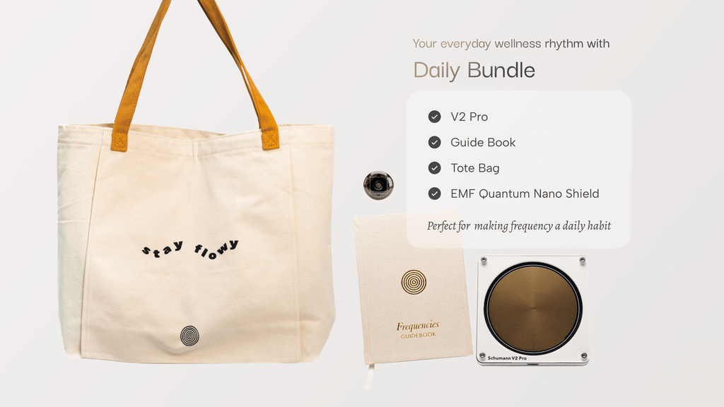 Daily Bundle - The Schumann