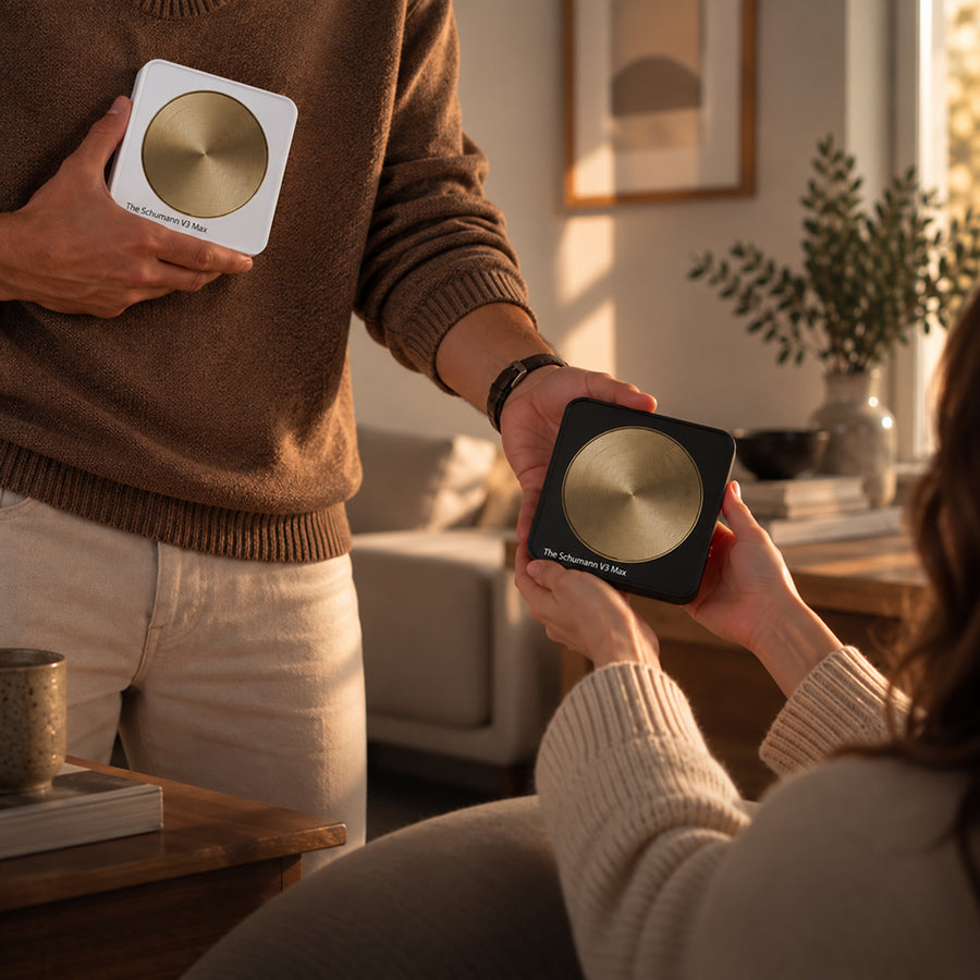 Handing over a boxed Schumann device