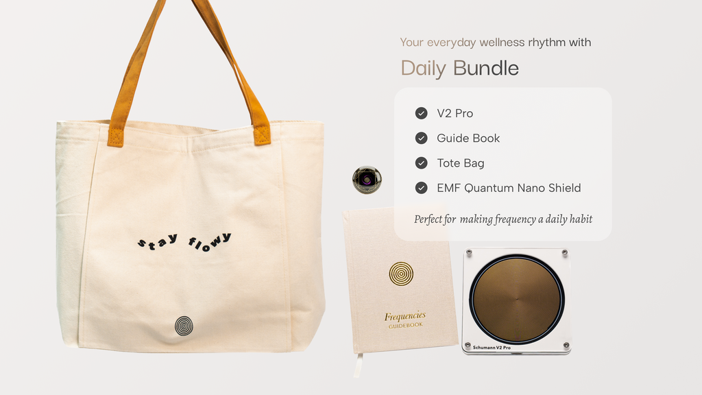 Daily Bundle