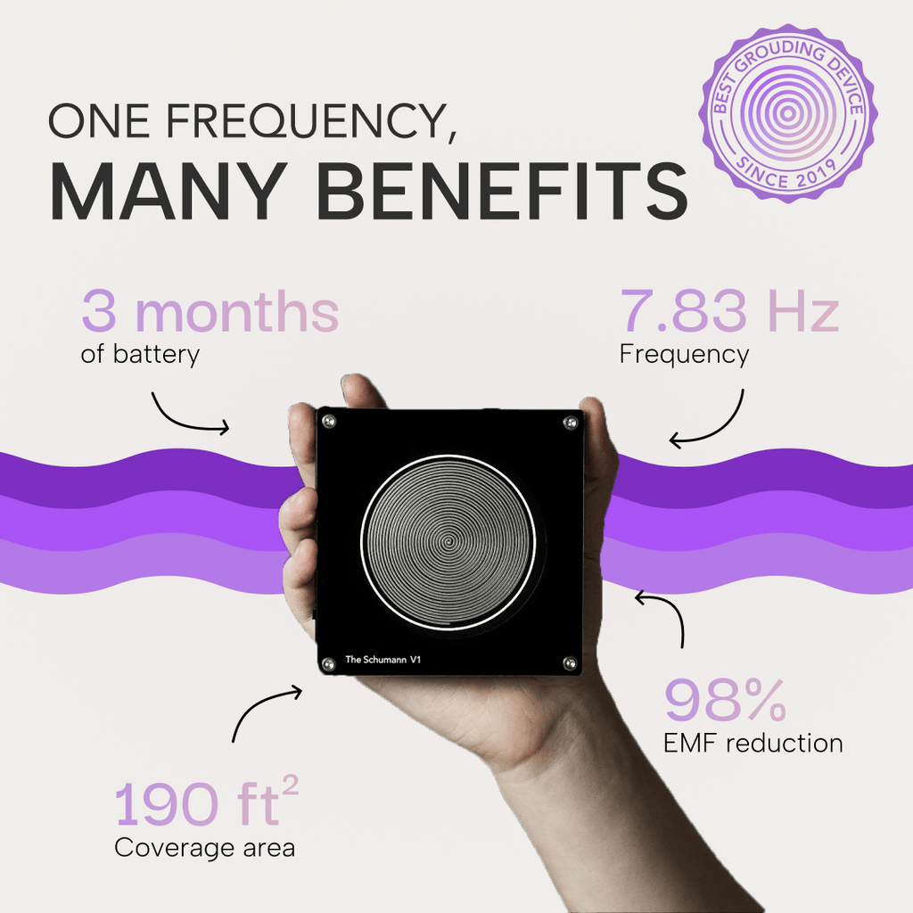 V1 Classic - The Schumann