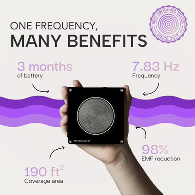 V1 Classic - The Schumann