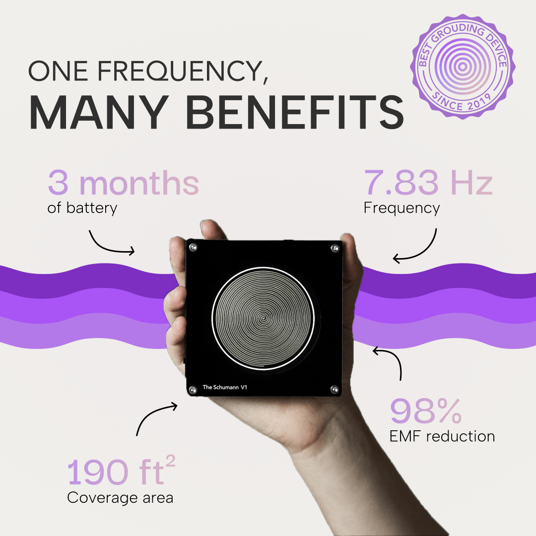 V1 Classic - The Schumann