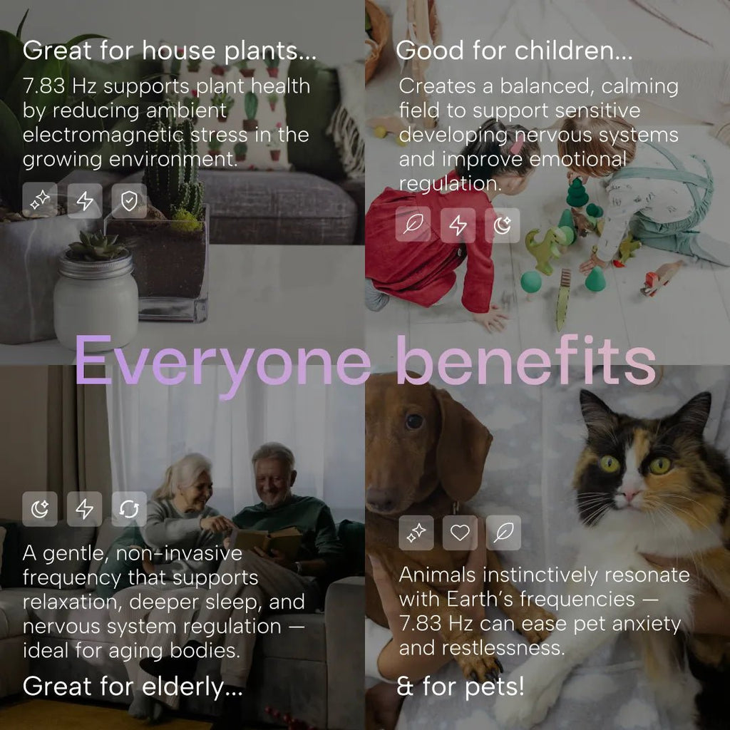 V1 Classic - The Schumann