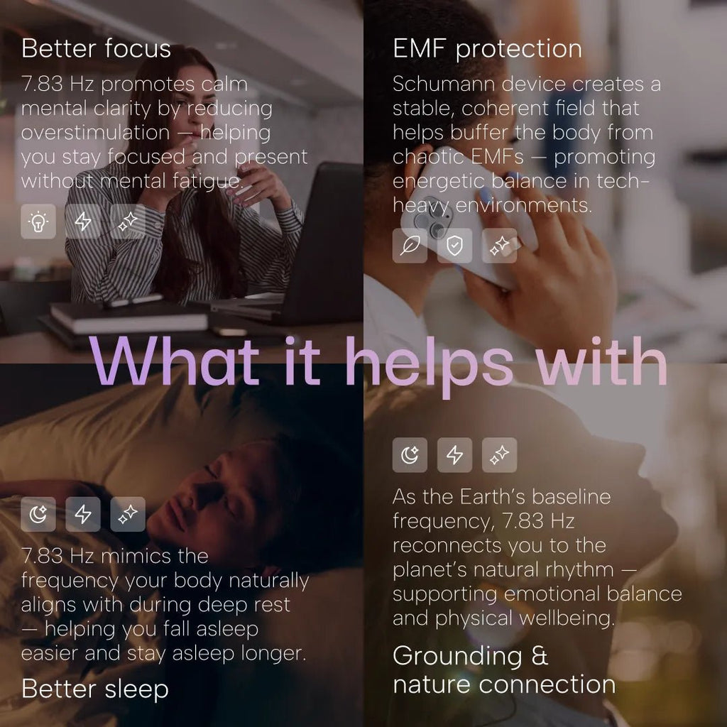 V1 Classic - The Schumann