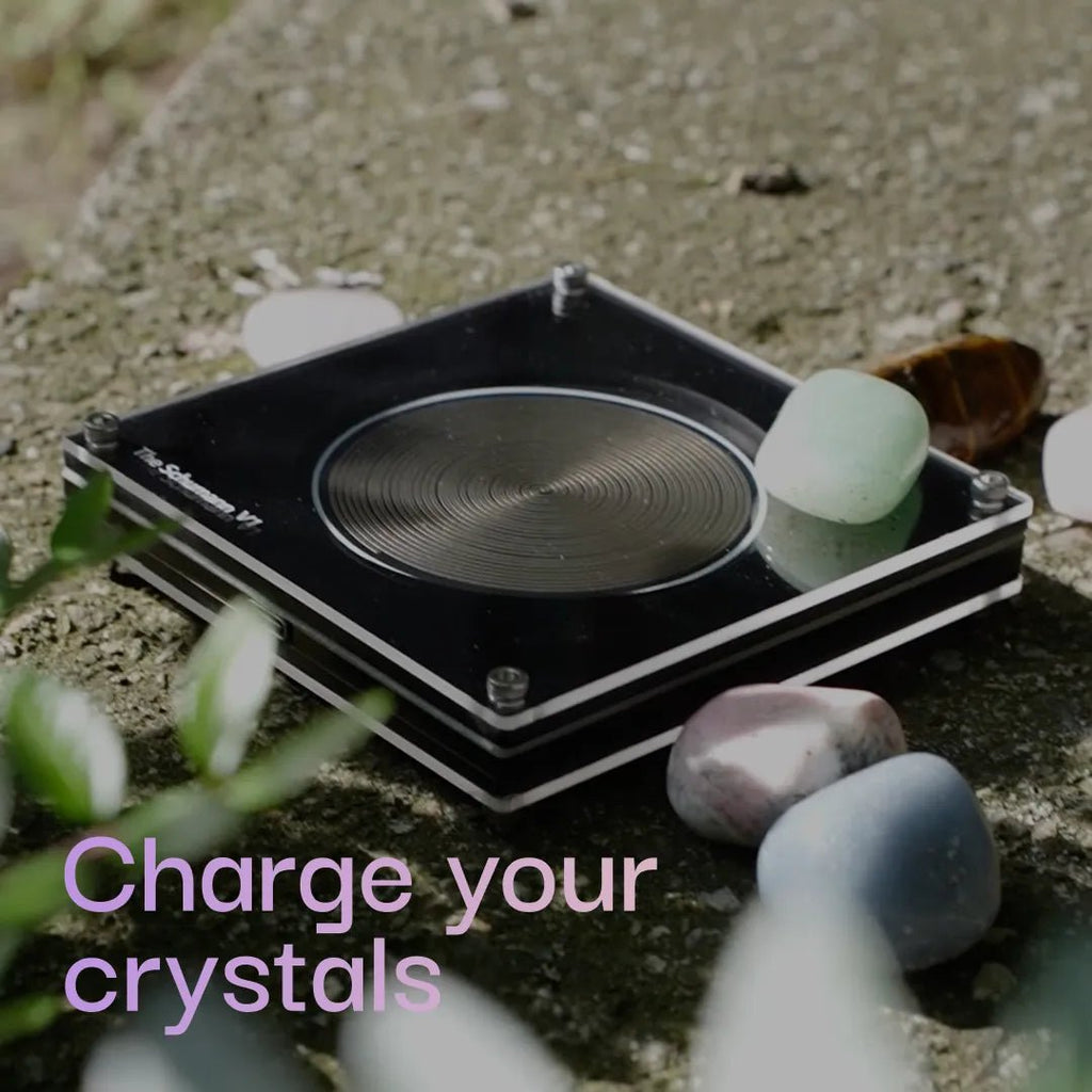 V1 Classic - The Schumann