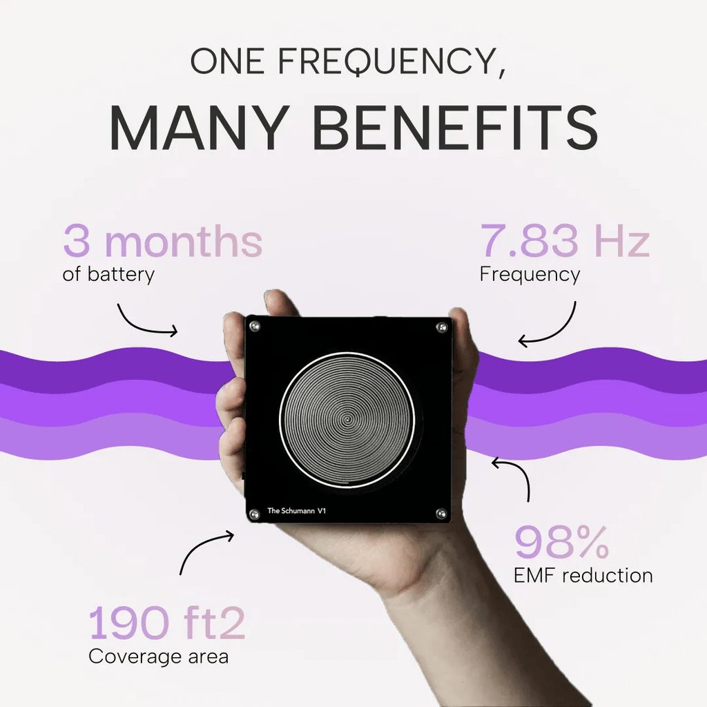 V1 Classic - The Schumann
