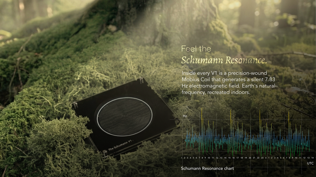 V1 Classic The Schumann V1 Classic The Schumann