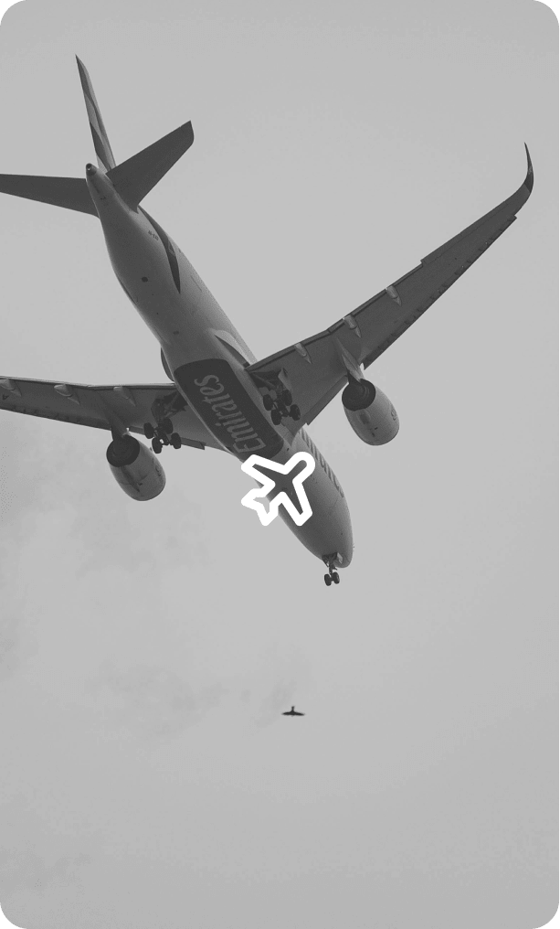 Travel & Environment